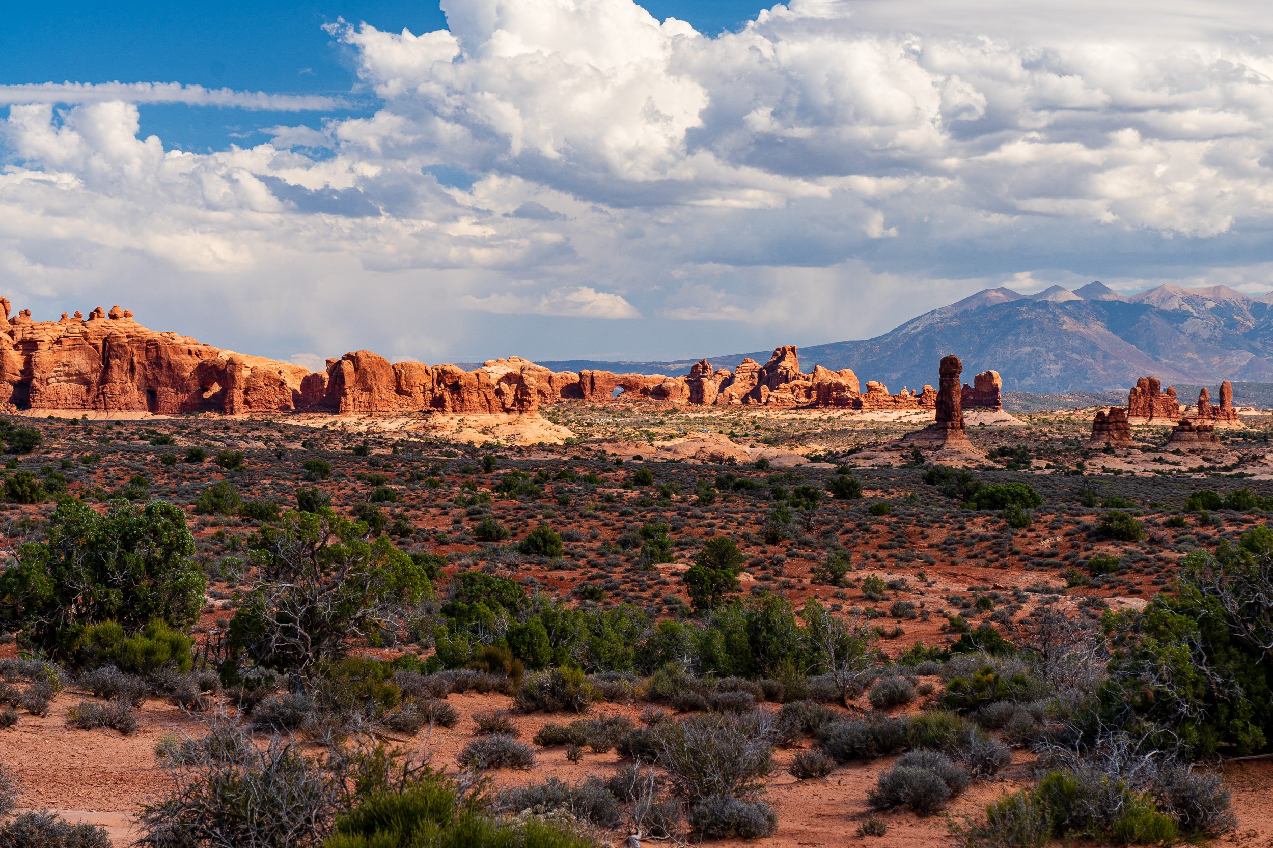 USA 2024 5 Sterne 126